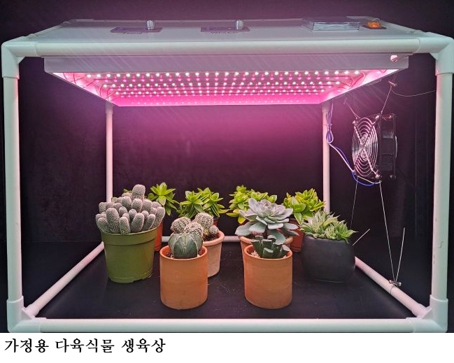 다육식물 키우기 방법 해결…실내 LED 재배기로 웃자람·햇빛 부족 문제 잡는다