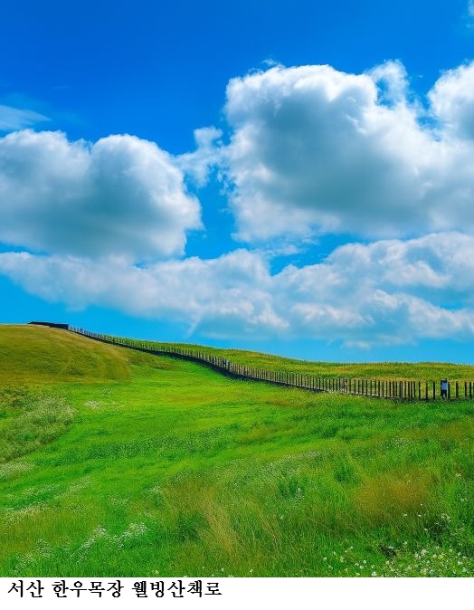 [한국농어민뉴스] 충남이 빚은 싱그러운 봄으로의 초대