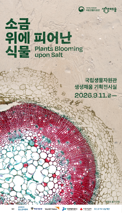 국립생물자원관 ‘소금 위에 피어난 식물’ 개막…염생식물·갯벌 생태계 한눈에