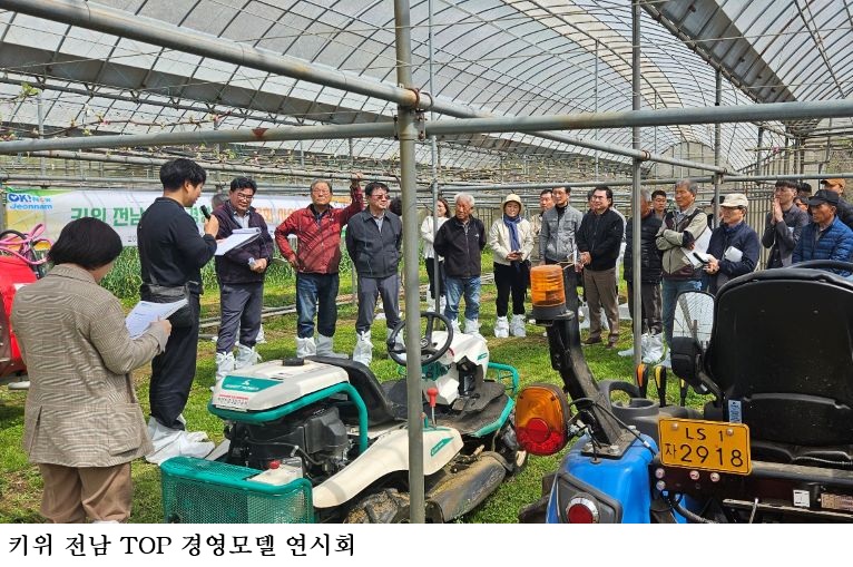 전남 키위 재배 노동력 95% 절감…전남농기원, 인공수분·전자선별 기술 보급 확대