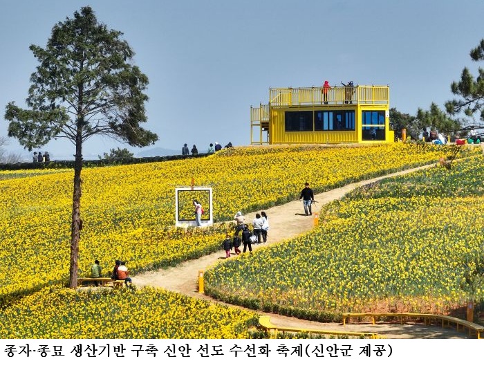 전남도, 우수 종자·종묘 생산기반 구축…함평 국화·신안 수선화 집중 지원