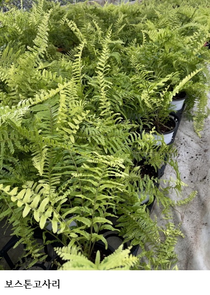 국립종자원, 품종보호 작물별 특성조사기준 국제적 조화 강화