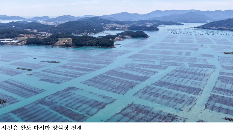 완도군 바다숲 탄소거래 사업 전국 최다 6개소 선정…블루카본·바다연금 실현 속도