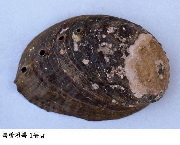 [한국농어민뉴스] 해양수산생명자원, ‘활용 가치’ 기반 등급 부여 전면 시행