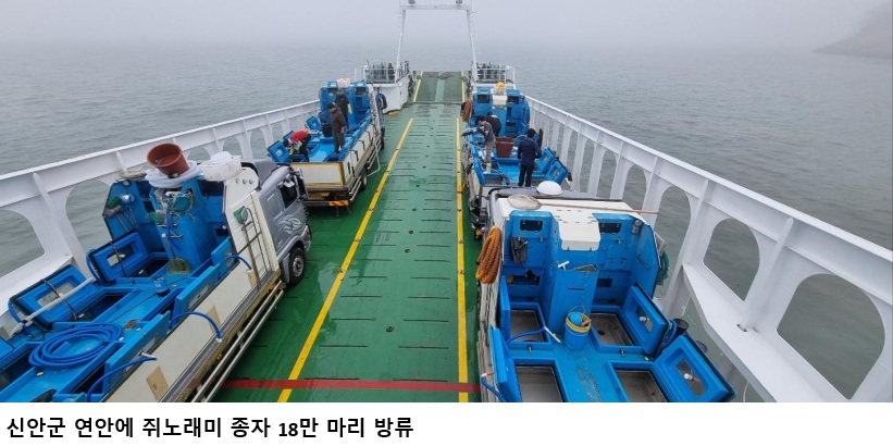신안군 쥐노래미 18만 마리 방류…수산자원 회복·어가소득 증대 기대