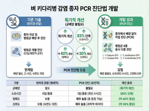 벼 키다리병 원인균 4종 동시 진단 기술 개발…PCR 기반 종자검사 혁신
