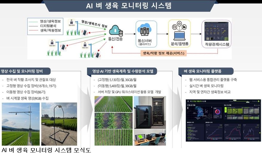 논에 사람 대신 AI가 들어간다…벼 생육 매일 확인, 조사 노동력 60% 줄인다