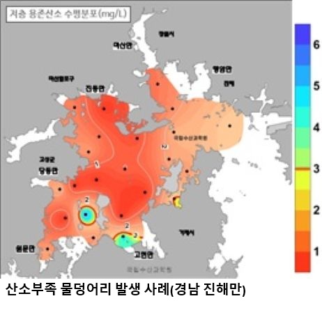 전국 연안 산소부족 물덩어리 완전 소멸…진해만 끝으로 5개월 만에 사라져