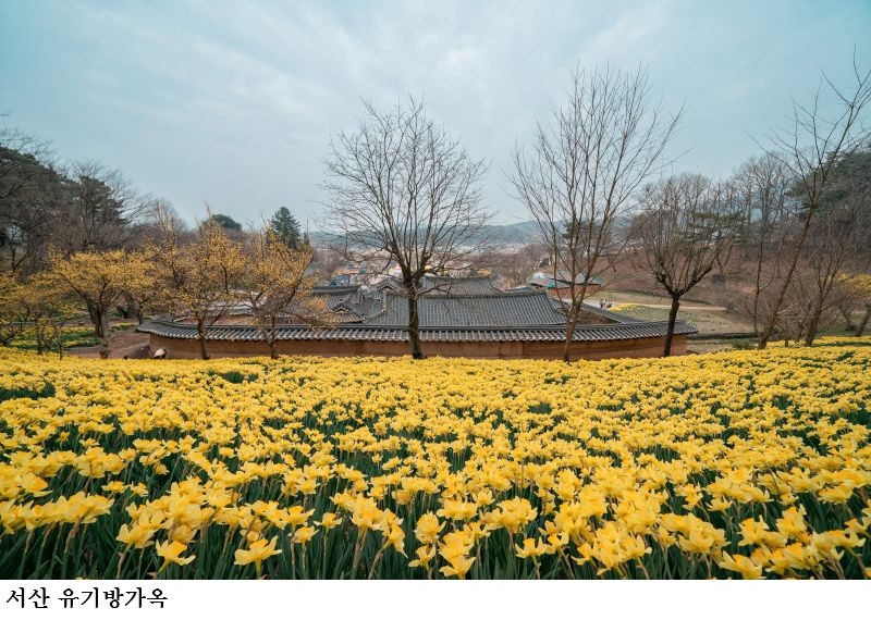 [한국농어민뉴스] 충남이 빚은 싱그러운 봄으로의 초대