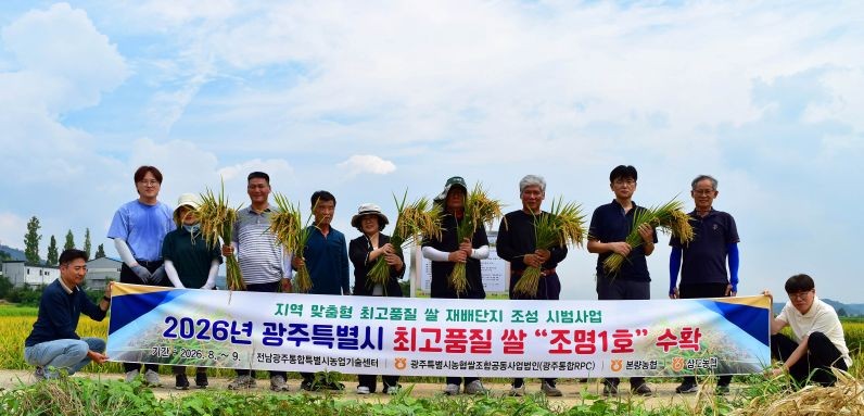  전남광주특별시, 광산구 본량동서 최고품질쌀 ‘조명1호’ 첫 수확