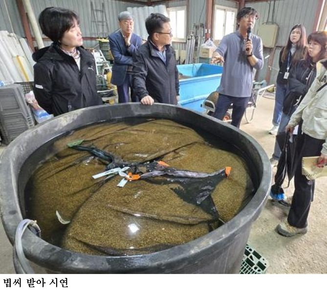 경기도농업기술원, 벼 발아율 저하 대비 ‘안전육묘 현장지원’ 확대