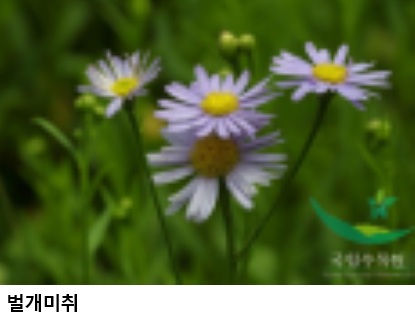 331ac517b47b98032012360cd11ea408.jpg ์ฐ๋ฆฌ ์์ ํํผ ์ฐ์
ํ ๋ณธ๊ฒฉ ์ถ์งโฆ๋์ด์งํฅ์ฒญ, ์ ๋ง ํ๋ชฉ ์ ์ ๋์ ๋ค