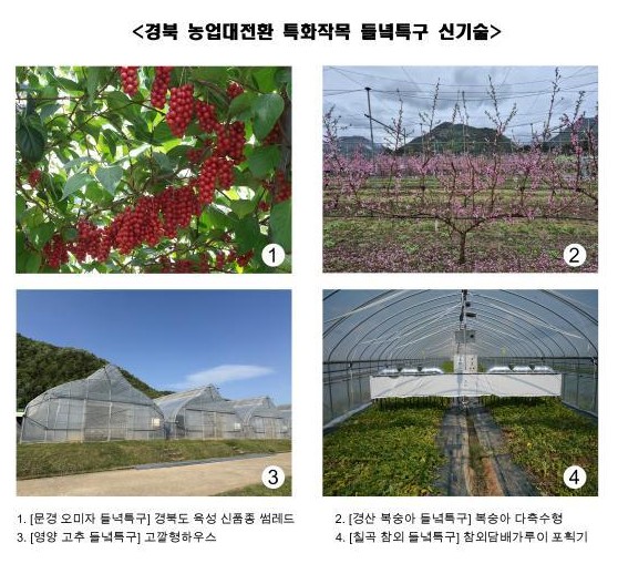 경북 농업대전환 특화작목특구 성과…고추 생산량 3.7배·딸기 소득 181% 증가