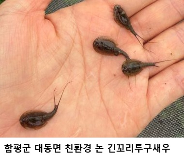 3be3c0d8f644f29bbf70d0d0e2f3de37.jpg μ λ¨κ΄μ£Όν΅ν©νΉλ³μ μΉνκ²½λμ
μ±κ³Όβ¦κΈ΄κΌ¬λ¦¬ν¬κ΅¬μμ° λλ μμ νμΈ, 건κ°ν λ
Ό μνκ³ μ
μ¦