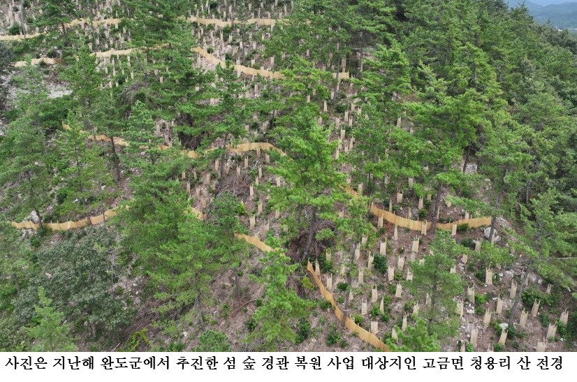 완도군, 조림 사업 착수 ‘탄소흡수원 확대한다!’