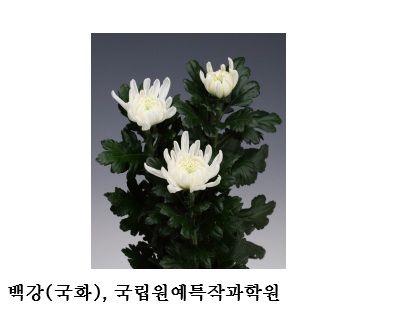3fa9b96b891ea5a058dcbab1b8a5202a.jpg κ³ μ¨μ κ°ν λ°°μΆ βμ²λͺ
κ°μβ λν΅λ Ήμβ¦2026 λνλ―Όκ΅ μ°μνμ’
8κ° μ μ 