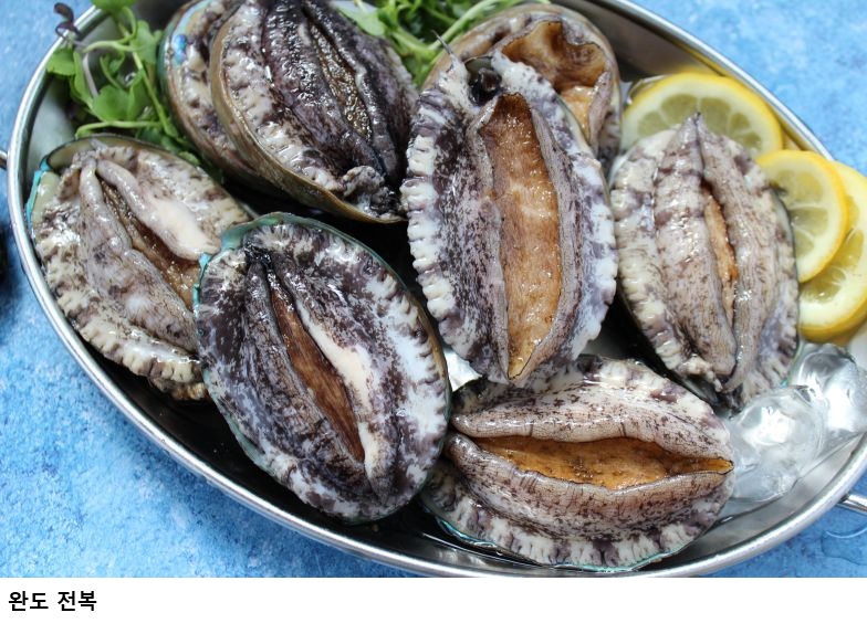 완도 전복, 여름철 보양식으로 주목…“말복 기력 충전 바다의 산삼으로”