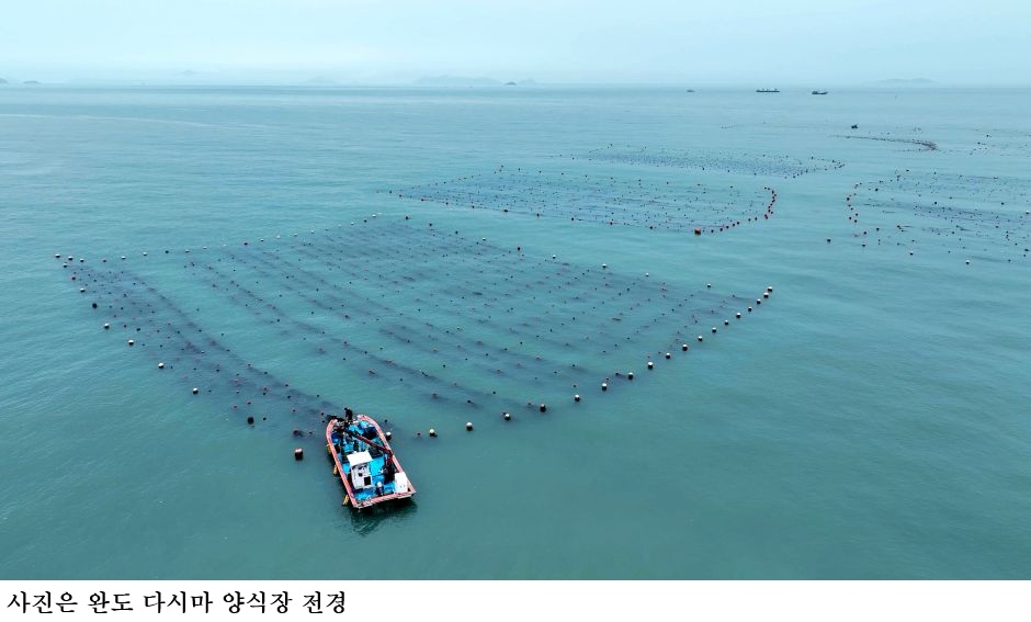 완도군 바다숲 탄소거래 사업 전국 최다 6개소 선정…블루카본·바다연금 실현 속도