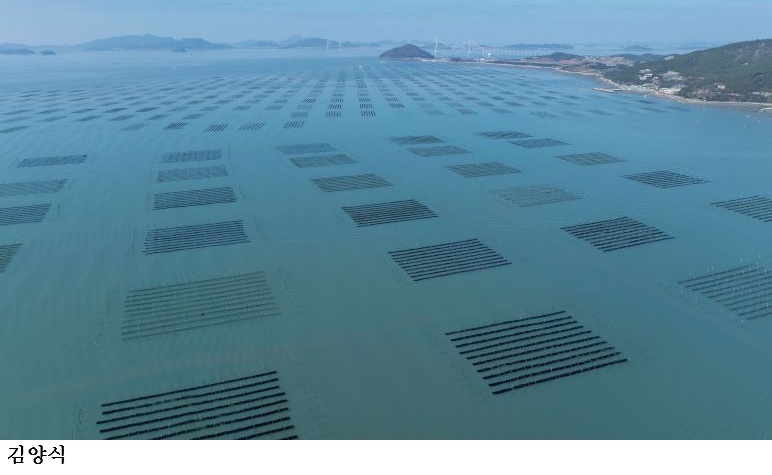 전남도, 수산물 생산량 전국 1위 유지