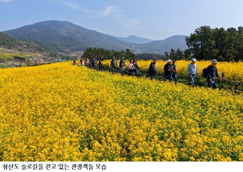 479f29ef91611df9a9d3583666dbe3f5.jpg 완도군 반값여행 효과 '톡톡'… 상반기 관광객 4만여 명 유치, 지역 소비 40억 원 창출
