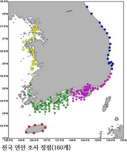 연안 식물플랑크톤 감소 심화…해양 생태계 변화 가속