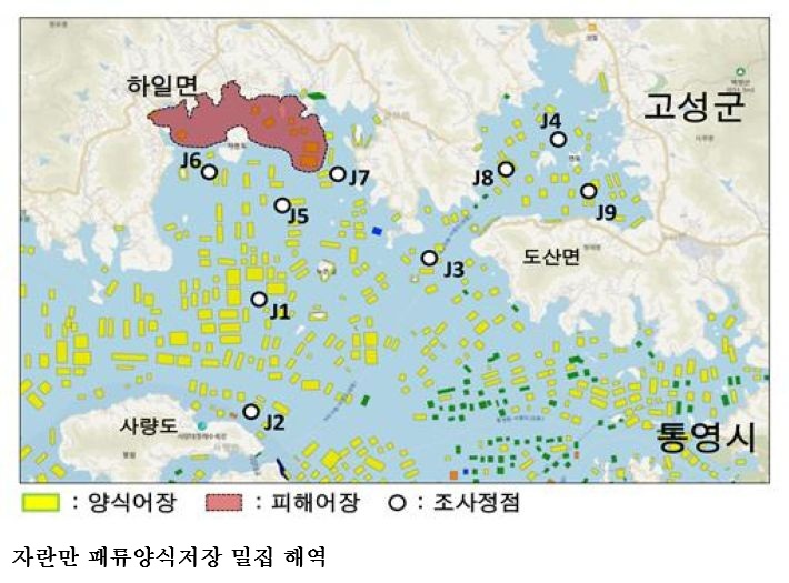 경남 자란만, 양식생물 폐사 위험 증가…수과원 “어장환경 악화 심각”