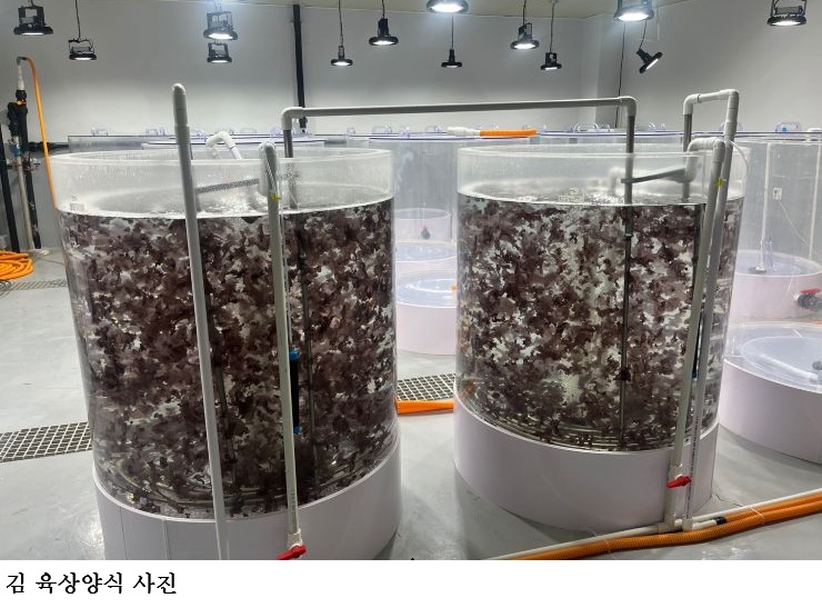 50a4c78a026726fc2620325500e8099a.jpg κΉ μ‘μμμ κΈ°μ νΉν 2건 λ±λ‘