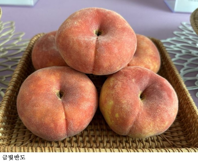 경북농업기술원, 복숭아 2가지 신품종 품종보호출원