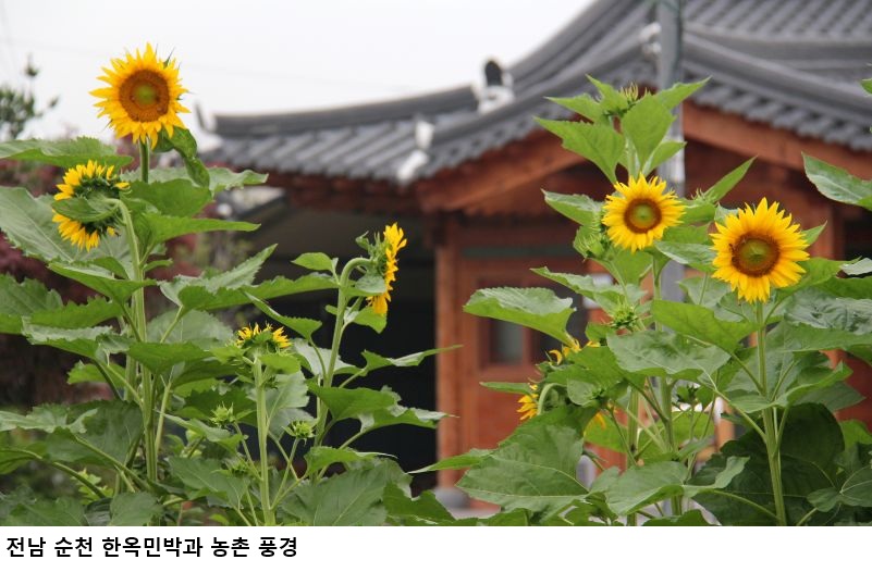 농어촌민박 거주·주택소유 요건 폐지…2027년부터 등록제 전환·바가지요금 제재 강화