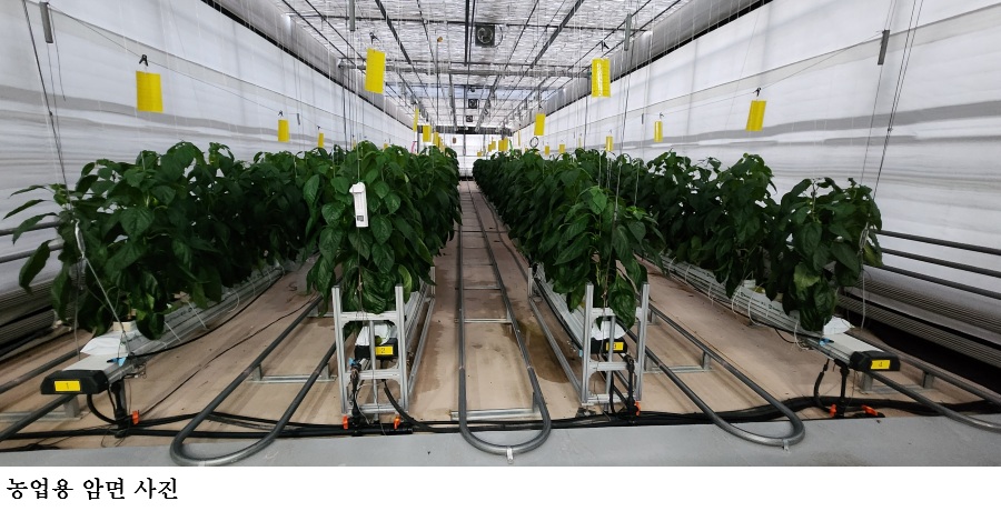 56e30fbdc9575932350b04a0197ffe59.jpg μ€λ§νΈν νμλ©΄ μ¬νμ© κΈΈ μ΄λ Έλ€β¦λμ
λΆμ°λ¬Ό βμμνβ μΆμ§