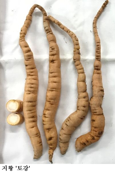 [한국농어민뉴스] 약용작물 종자 신청 시작, 기관별 공급 시기·가격 확인하세요