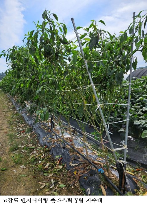 [한국농어민뉴스] 고강도 엔지니어링 플라스틱 Y형 지주대 출시