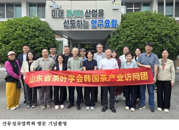 전남농기원-중국 산동성 차산업 기술협력 확대…내한성 품종·스마트 차 재배 연구 본격화