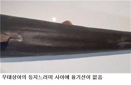 701a079c53d4953afc3bc6bd6dfd4dfb.jpg λΆμ° λΆν βλΆμΊμ΄β μ 체λ νμμ΄β¦μκ³Όμ, 3mκΈ μμ»·μΌλ‘ μ΅μ’
νμΈ