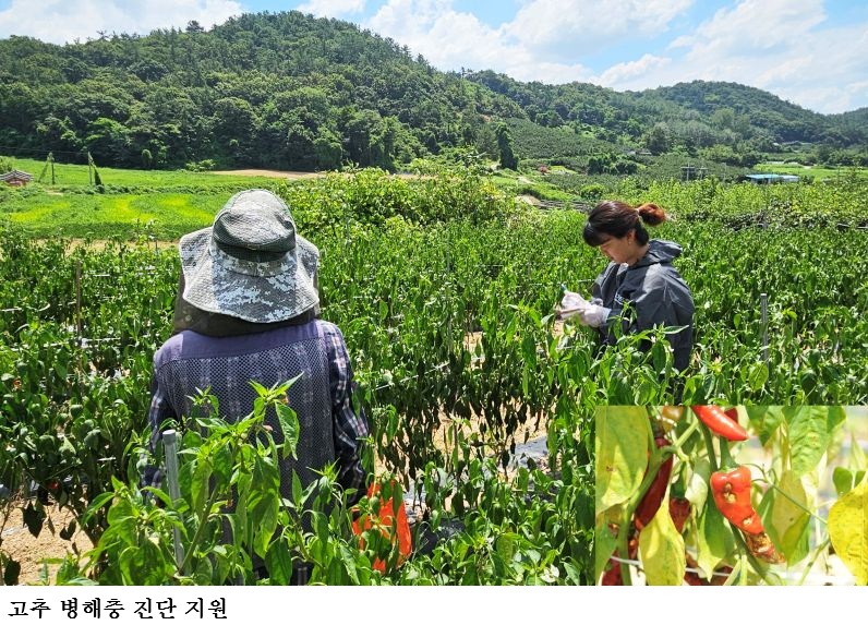 [한국농어민뉴스] 전남농기원, 농작물 병해충 신속 진단·방제 기술지원 강화