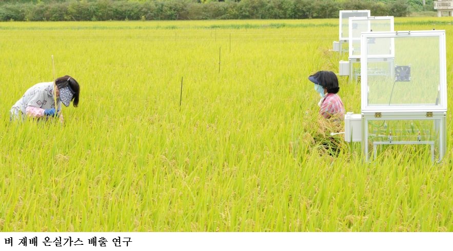 72de9f27e8b7e4f664e0a5f24b78a798.jpg ννλΉλ£ λ체ν νμμ κ°ν λ―Έμλ¬Ό κ°λ° λ°μ°¨