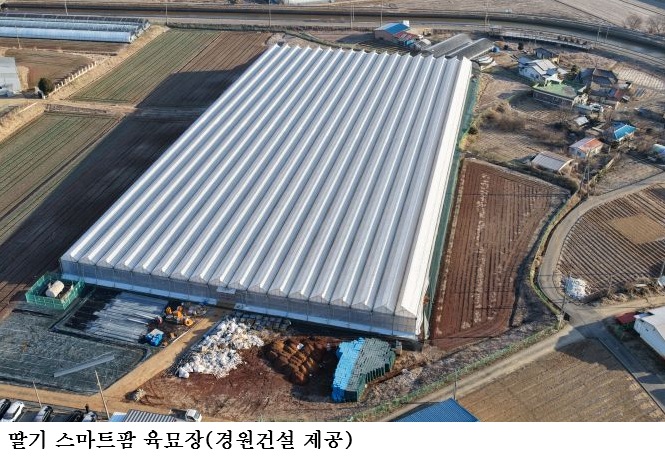 1만㎡ 규모 딸기 스마트팜 육묘장 조성