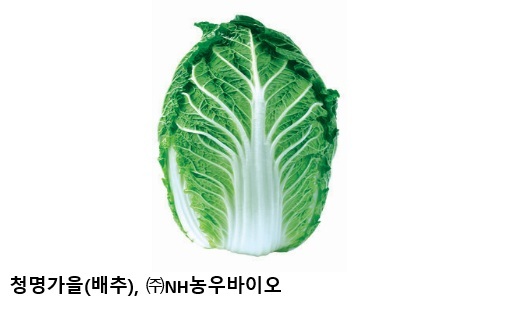 75255b75f39107d677f2c6b8ebdb89ee.jpg κ³ μ¨μ κ°ν λ°°μΆ βμ²λͺ
κ°μβ λν΅λ Ήμβ¦2026 λνλ―Όκ΅ μ°μνμ’
8κ° μ μ 