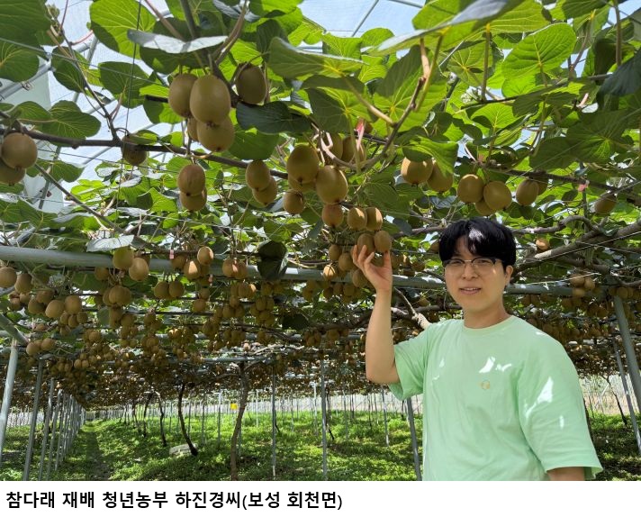 전남광주특별시, 8월 친환경농산물에 보성 무농약 참다래