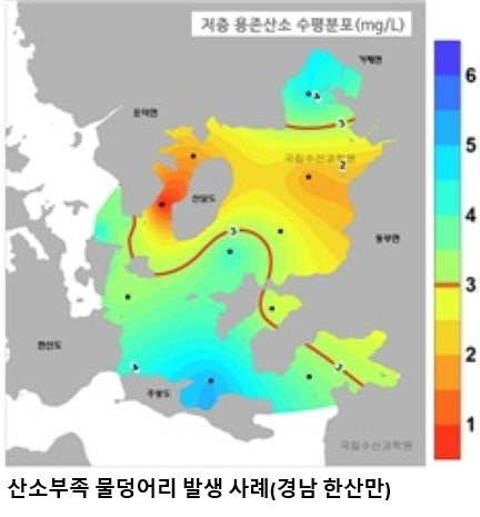 전국 연안 산소부족 물덩어리 완전 소멸…진해만 끝으로 5개월 만에 사라져