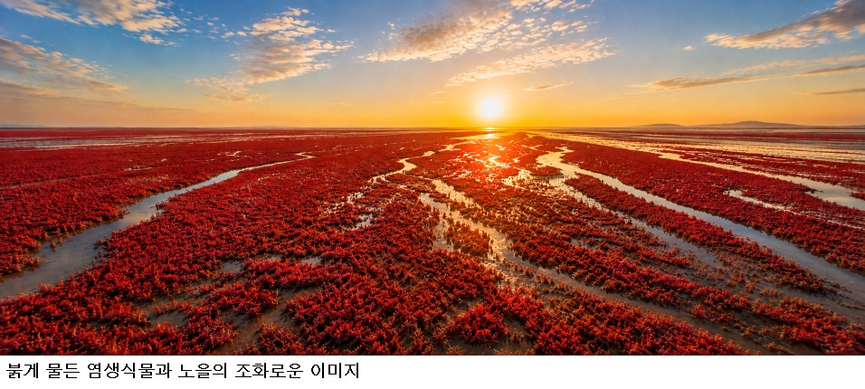 국립생물자원관 ‘소금 위에 피어난 식물’ 개막…염생식물·갯벌 생태계 한눈에