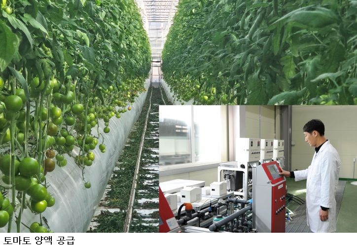 전남광주농기원, 물·비료 재활용하는 완전순환 수경재배 기술 개발