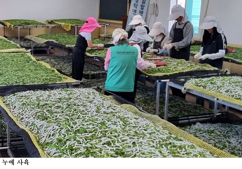 [한국농어민뉴스] 2026년 봄·가을 누에씨 3월 20일까지 신청 접수