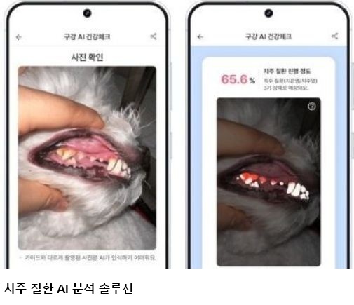 반려동물 사진 한 장으로 질환 분석…AI ‘라이펫’ 개발 십일리터, 농식품부 A-벤처스 선정