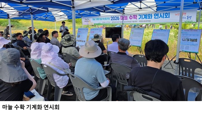 충남도농업기술원, 마늘 수확 기계화 본격 확대…노동력 95% 절감 효과