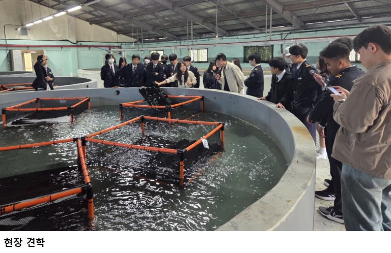 완도 해양수산 진로체험, 참돔·전복 현장교육 확대…한국수산자원공단 청소년 프로그램 운영