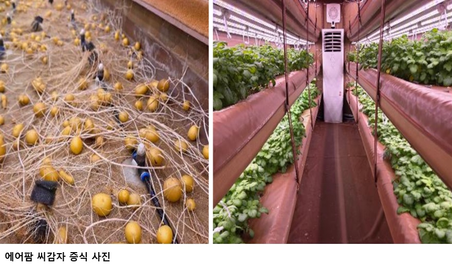 물 99% 아끼며 감자 키운다…농식품부 ‘A-벤처스’ 미드바르 선정