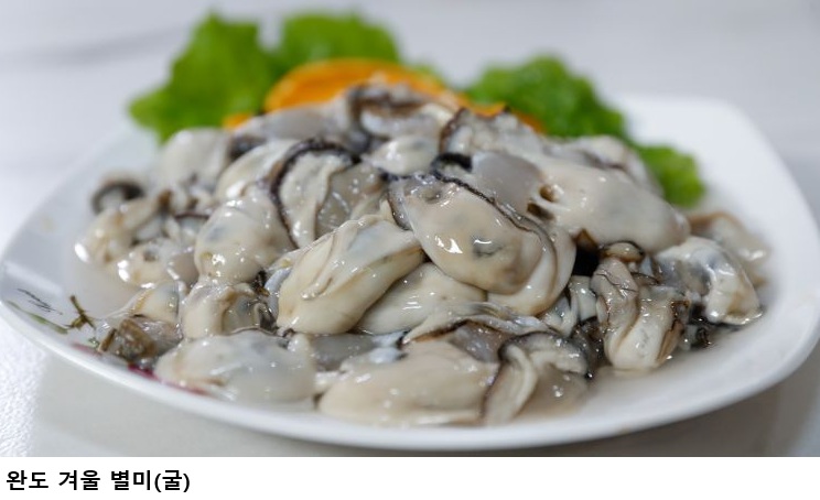 [한국농어민뉴스] 완도의 겨울 별미로 미식 여행 즐기세요!