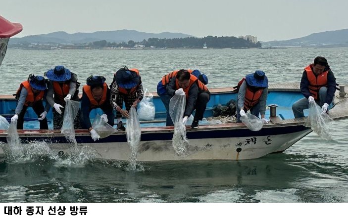 전남도, 함평 해역 어린 대하 100만 마리 방류…수산자원 회복·어업인 소득 증대 기대