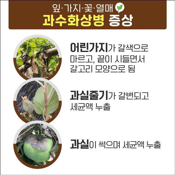 과수화상병 국산 방제약제 개발 길 열린다…식물방역법 개정 27일 공포